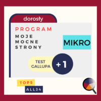 Program-moje-talenty-Gallupa-test-konsultacja-mikro