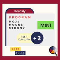 Program-moje-talenty-Gallupa-test-konsultacja-mini